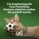 A tabby kitten holding a small football toy with text saying 'I'm fundraising for Cats Protection, because adoption makes the perfect match'