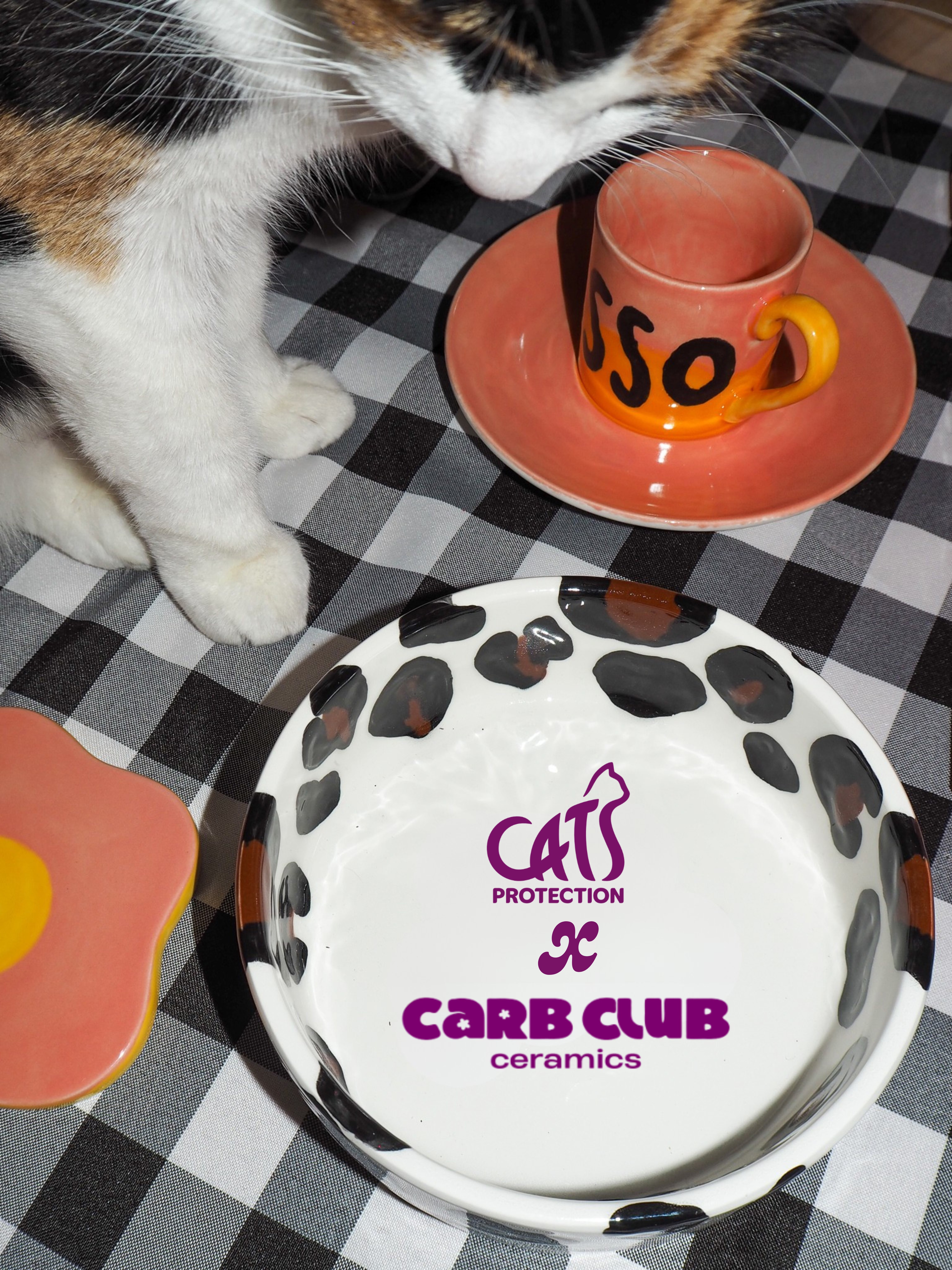 Cats at Carb Club - LSE