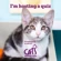 A grey-and-white tabby cat with text saying 'I'm hosting a quiz. Fundraising in aid of' and the Cats Protection logo