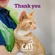 A ginger-and-white cat with the text 'Thank you. Fundraising in aid of' and the Cats Protection logo