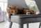 brown tabby cat lying on grey chair 