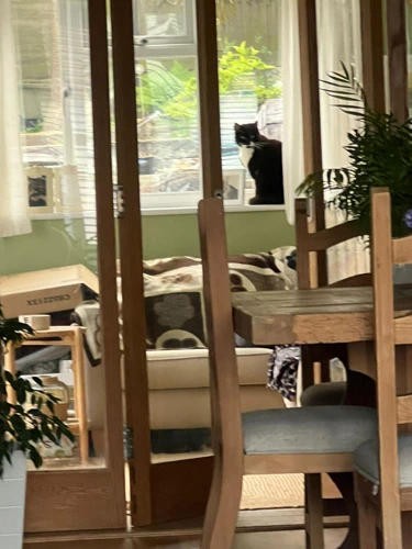 Mimi Outdoor home needed