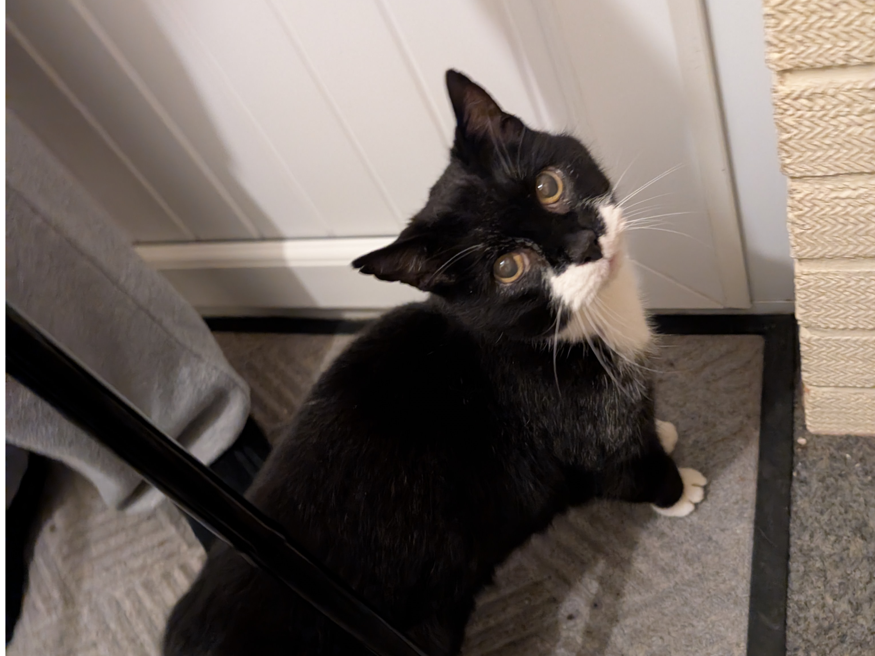 772037 - Found in Ingoldsthorpe