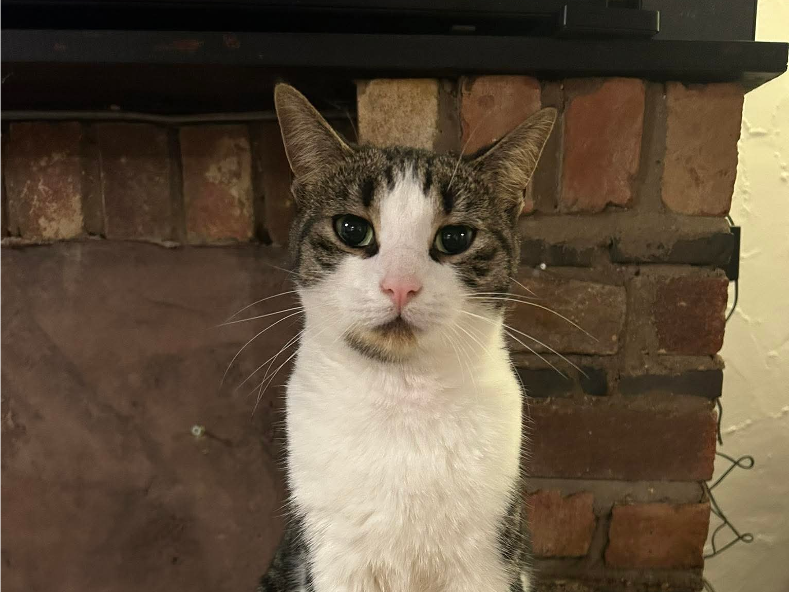 Missing in West Winch