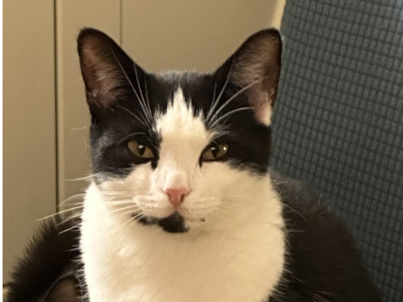 786629 Missing in Stowbridge