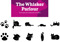 10 cat-themed temporary tattoo designs. Text says: The Whisker Parlour. Come get your temporary cat tattoo.