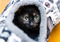A tortoiseshell cat with yellow eyes hiding inside a grey fleecy cat tunnel