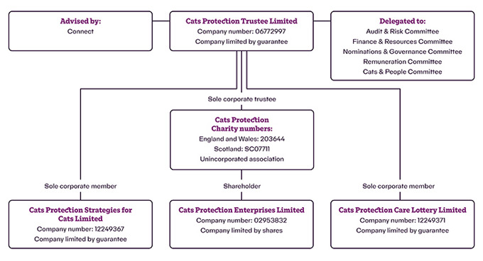 Structure, Governance and Management | Cats Protection