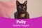 Black cat Polly with heading reading 'Quietly elegant'