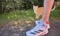 Register your own run for cats