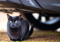 A black cat sat underneath a dark grey car