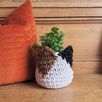 Cat Basket 4