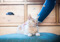 Ginger tabby cat being stroked by human