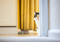 tabby-and-white cat hiding behind a door frame with a yellow curtain in the background