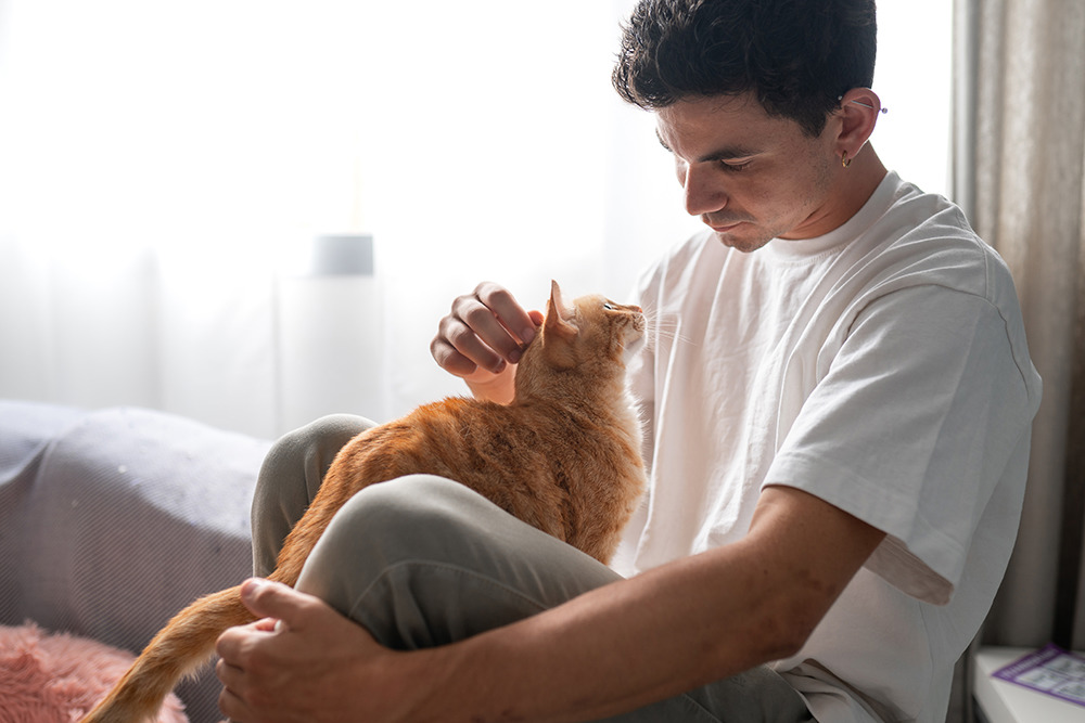 Hidden danger of hair-loss treatment on cats