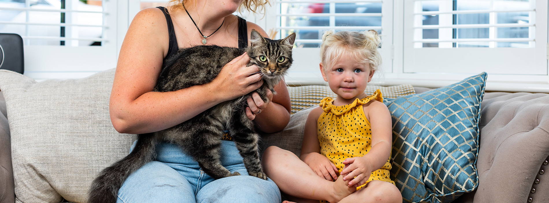 Cats and children