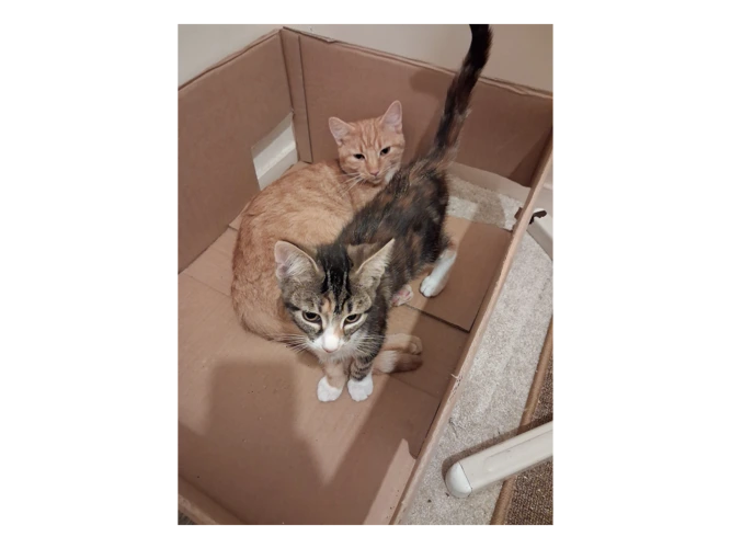 Aurora and Scrat