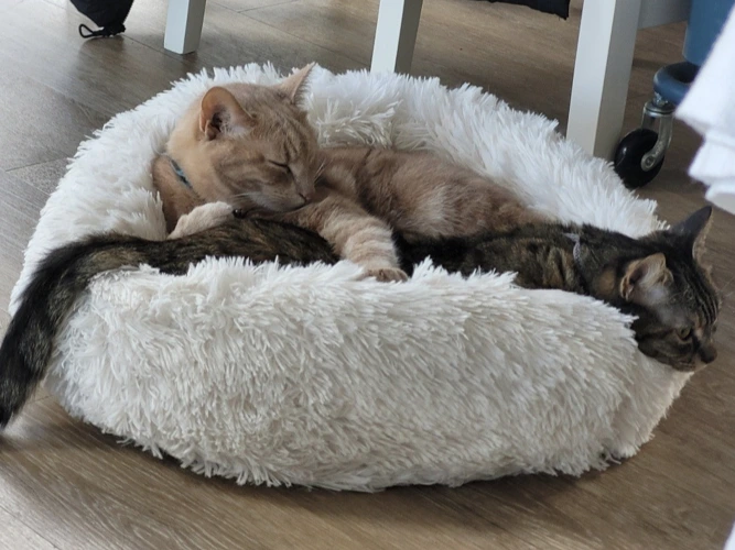 Winnie & Rosie