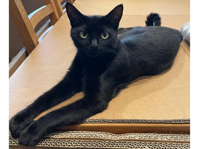 Binx