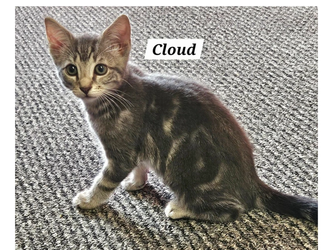 CLOUD