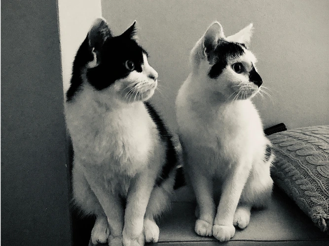 Halle and Lily