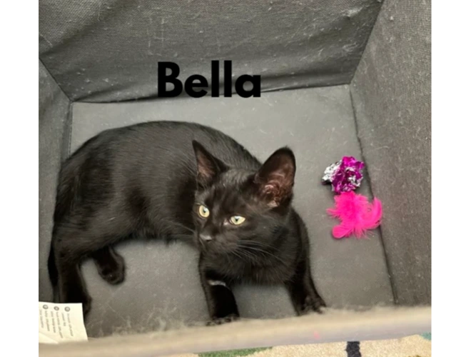 Bella and Bonnie