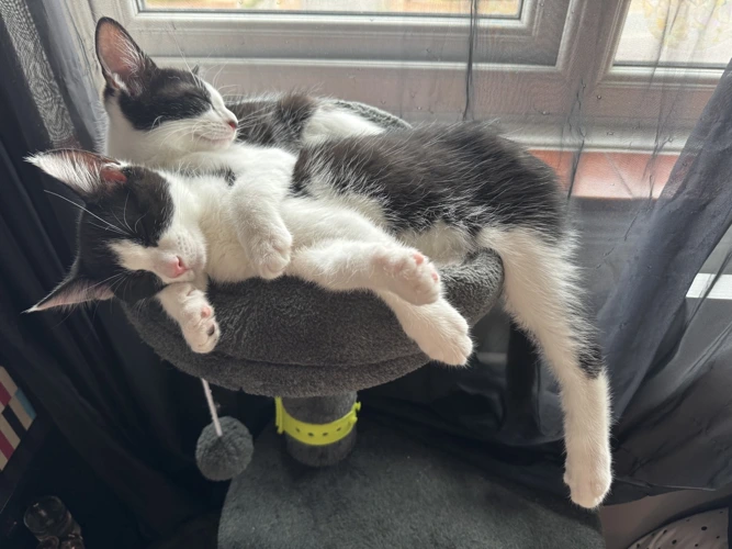 Philly & Delphine