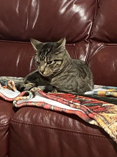 Kenai