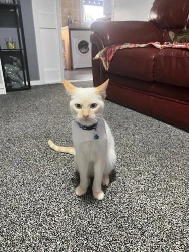 Ragnar