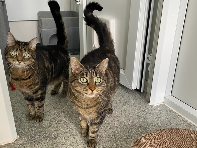 Bramble & Wren