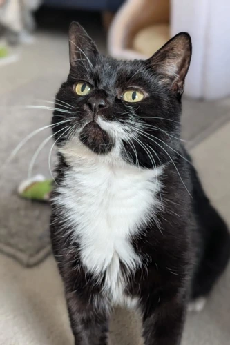 Ms Jasmin Green 11 Year Old Female
