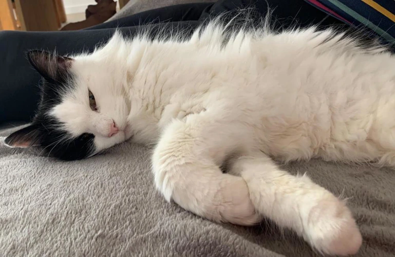 Smudge