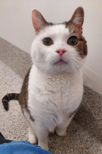 Timmy 16 Year Old Male