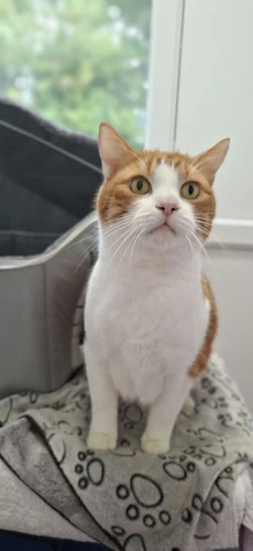 George