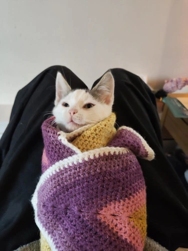Tuna