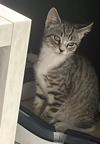 Benny