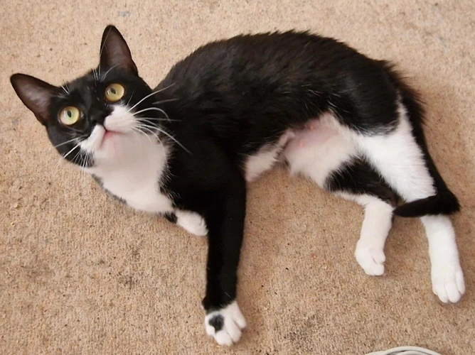 Maud 1 year 7mths Female