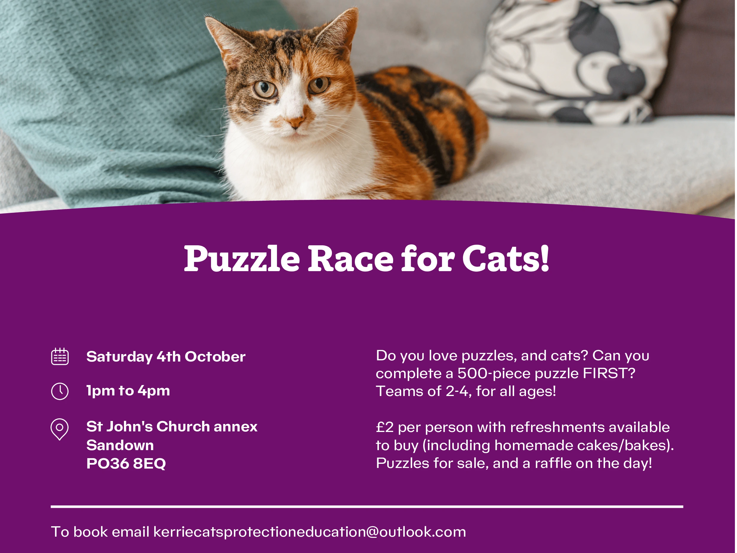 Puzzle Race For Cats