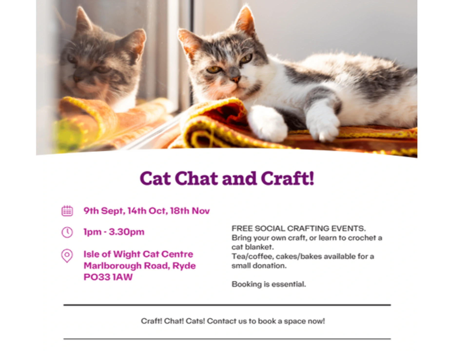 Cat Cat and Craft