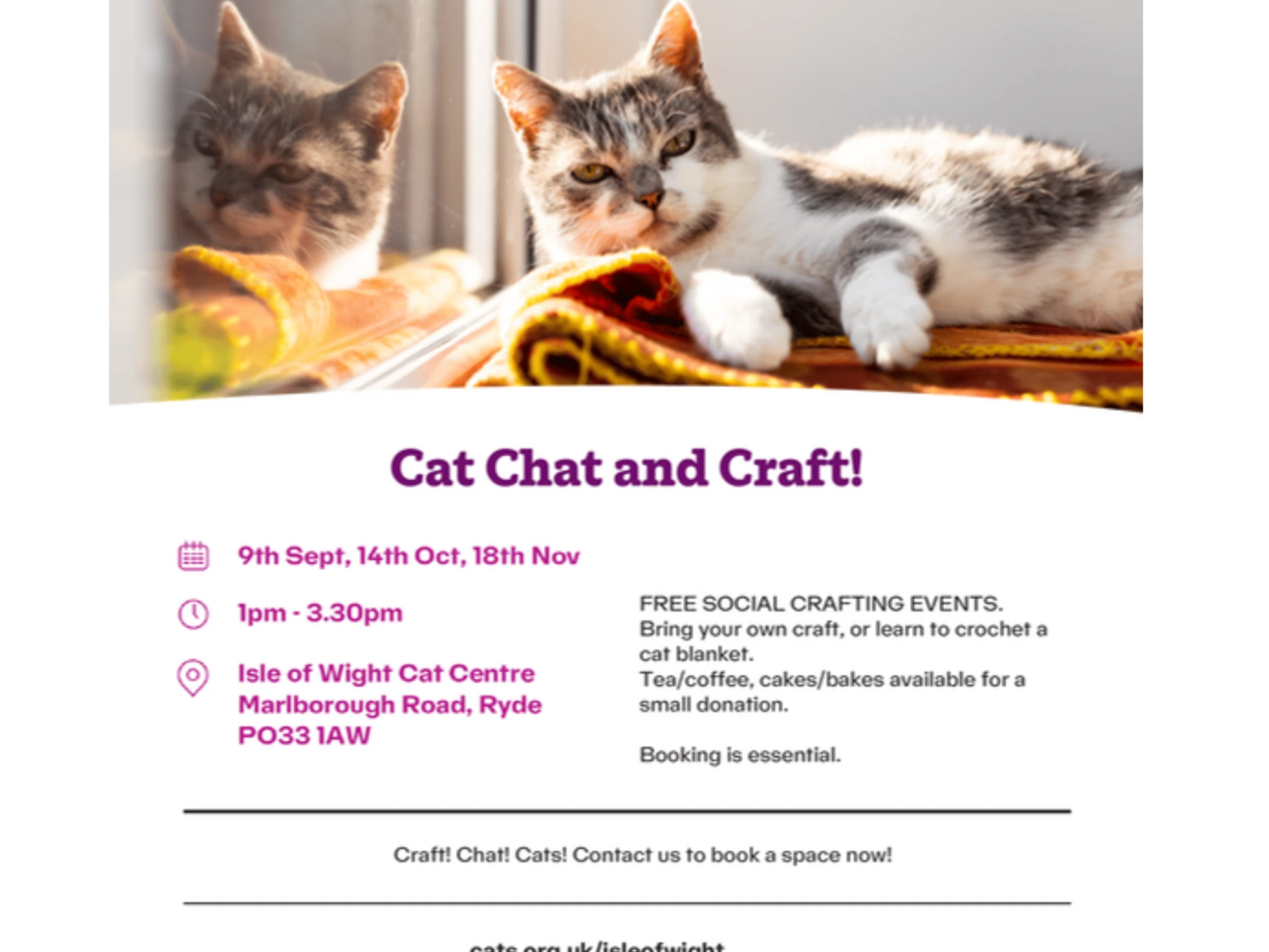 Cat Cat and Craft