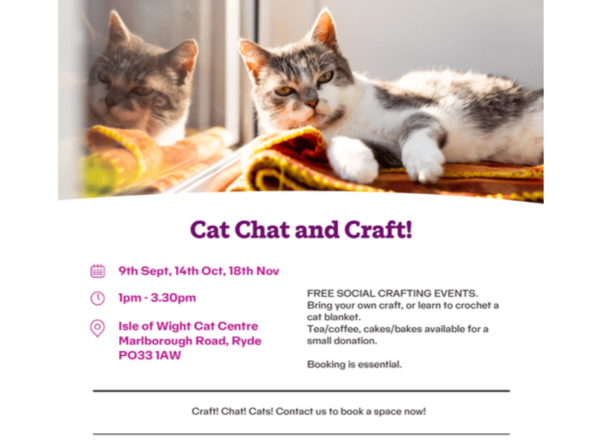 Cat Chat and Craft