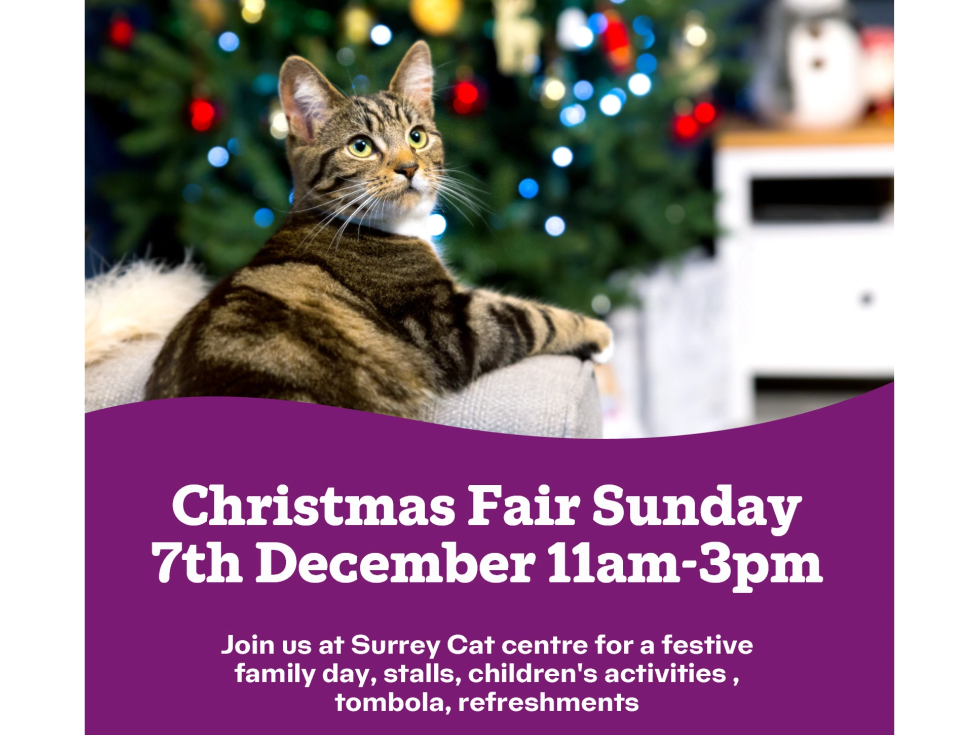 Christmas Fair