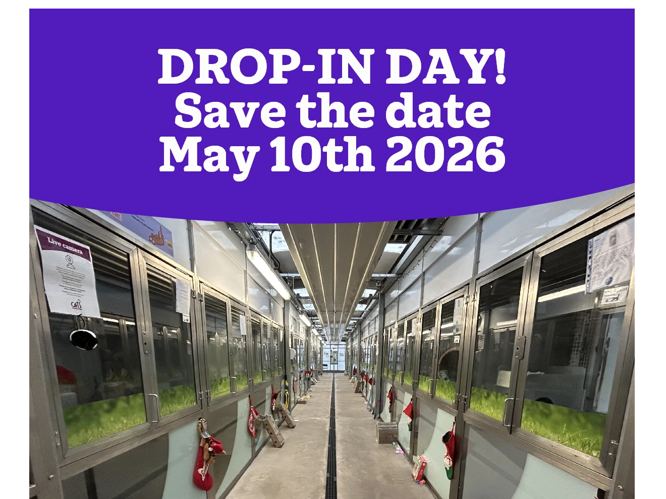 DROP-IN DAY!