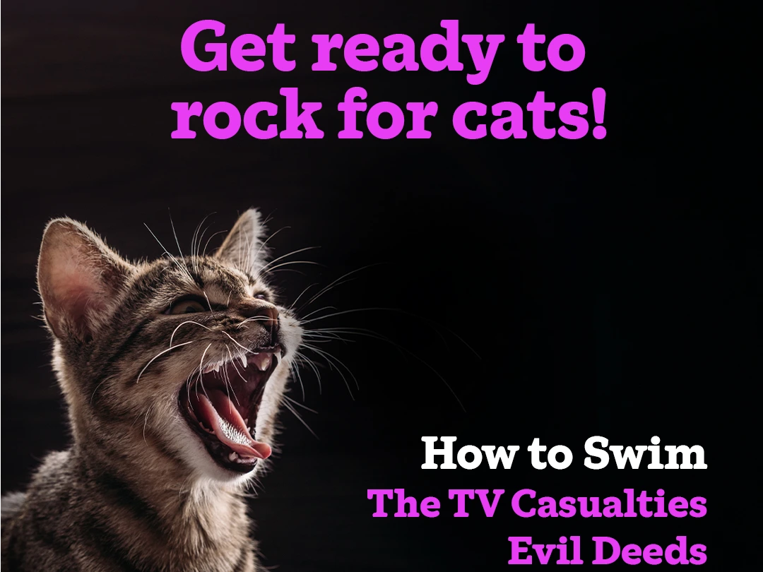 Cats Protection Benefit Gig