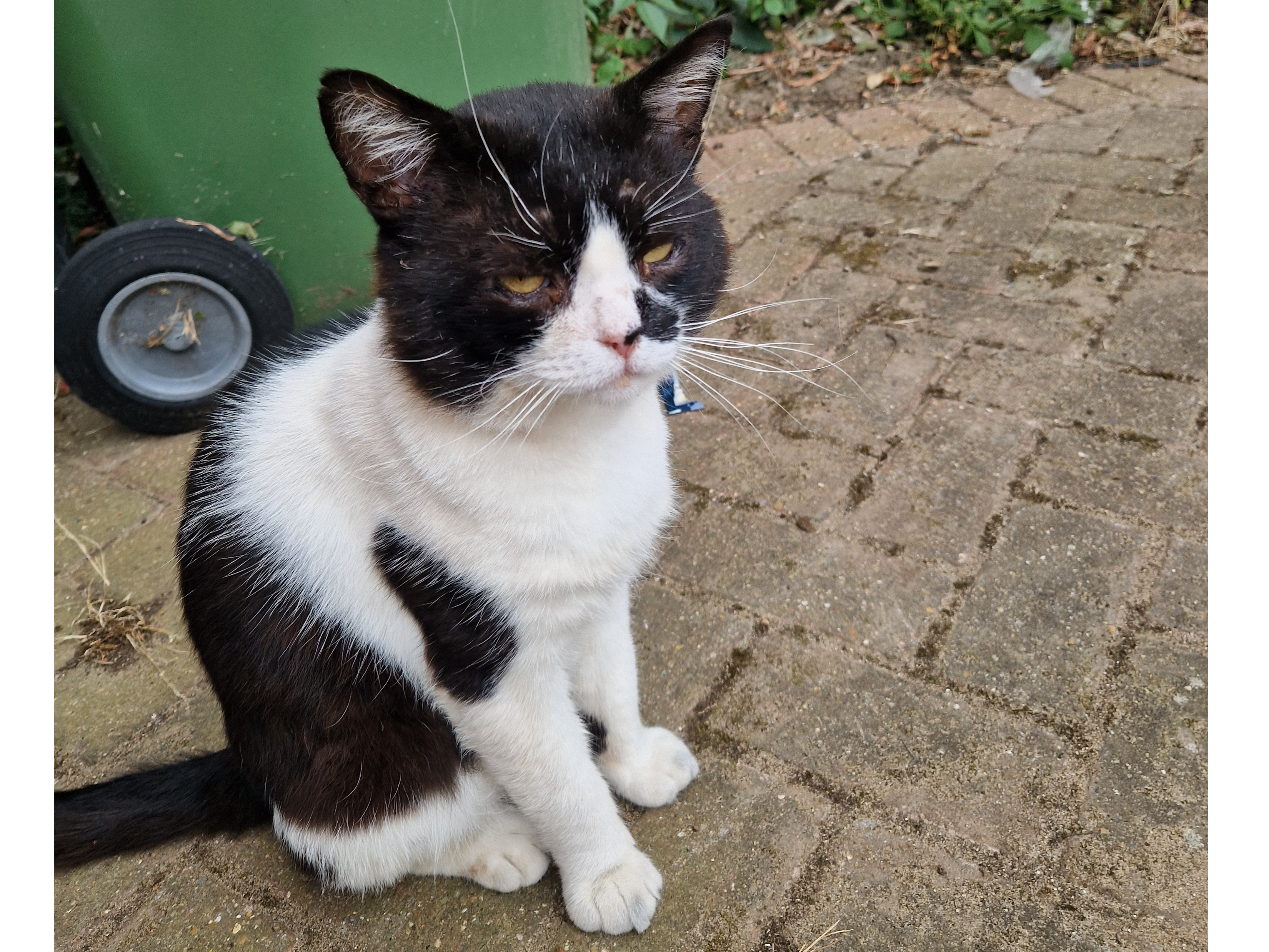 Black/white, Nuffield Rd area