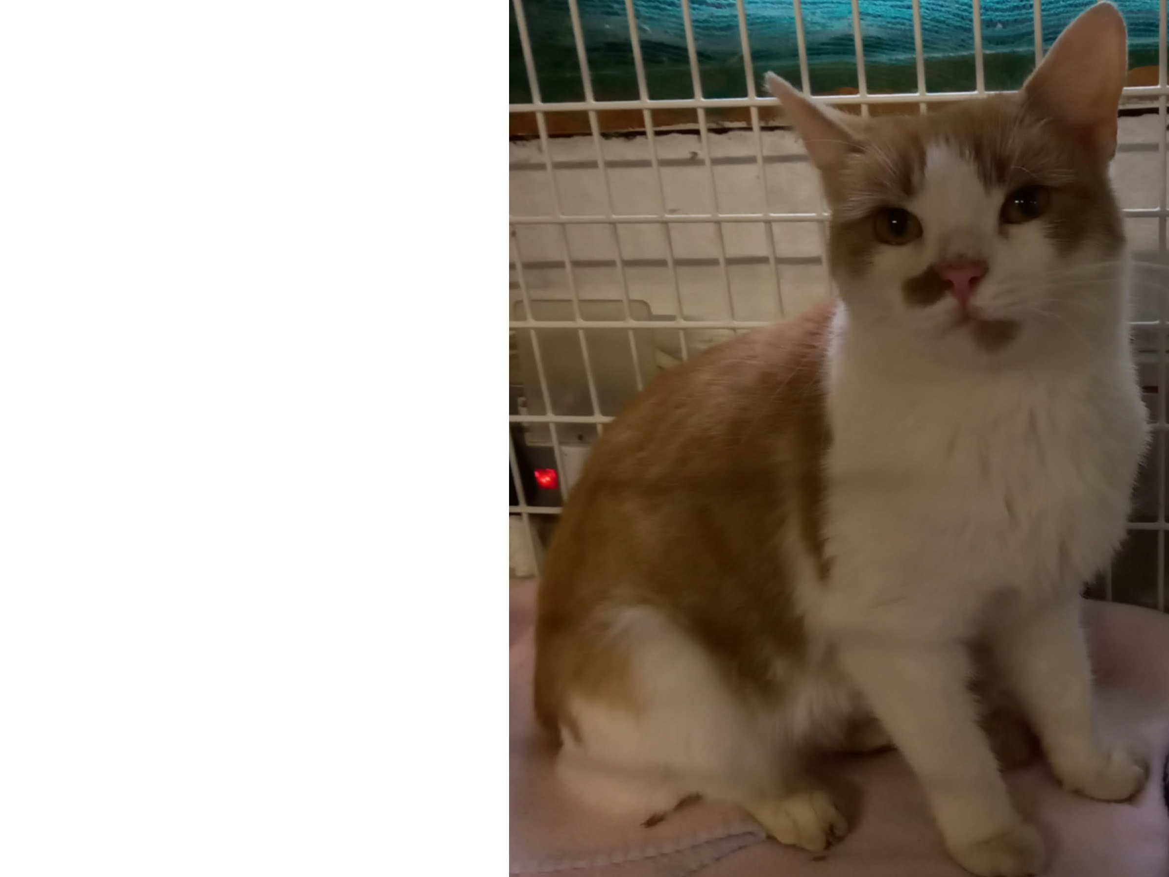 FOUND 26-068