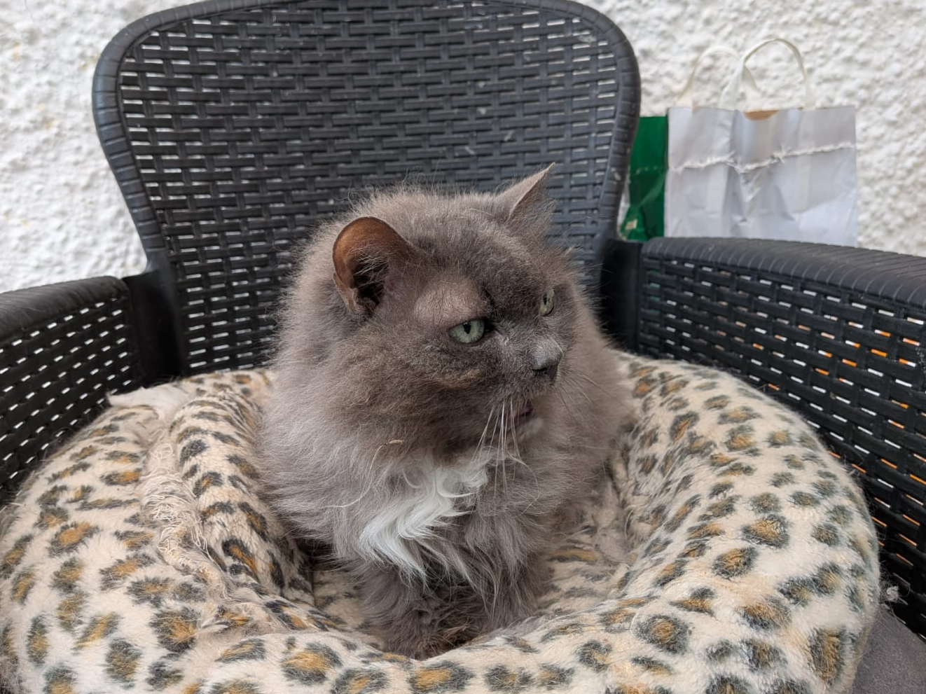 Fluff