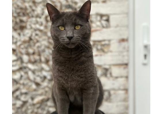 Kiki