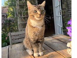 Parker, Trumpington Hall