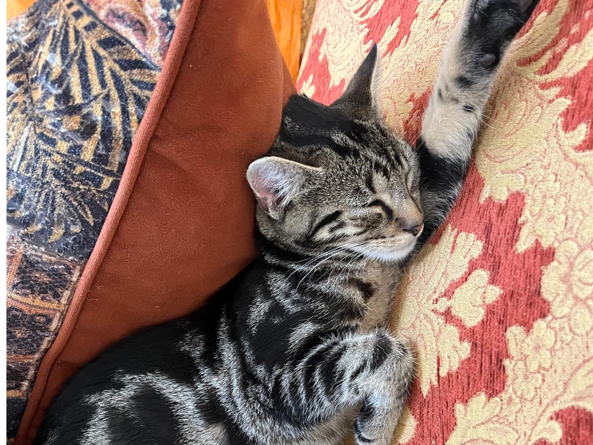 Missing in Tilney St Lawrence